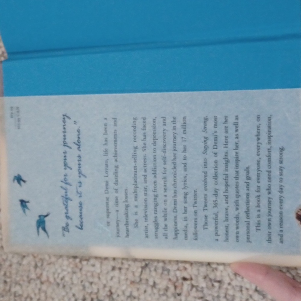 Staying Strong Book by Demi Lovato - Picture 2 of 4